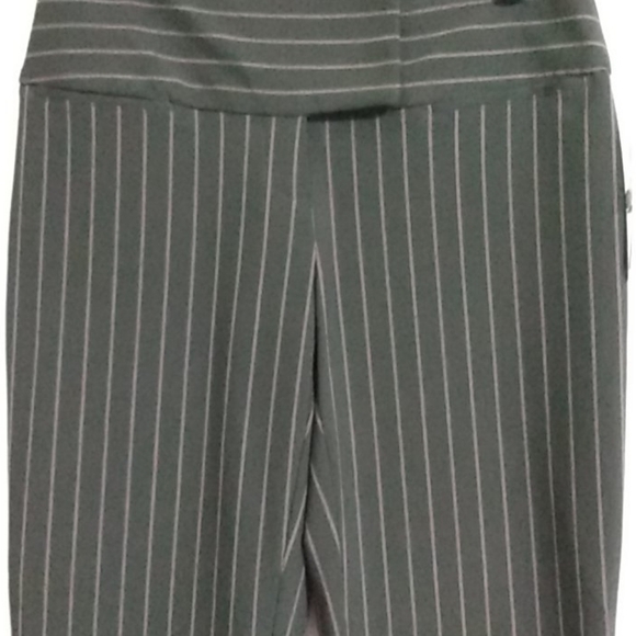 INC INTERNATIONAL CONCEPTS NWT BROWN & PINK STRIPE WIDE LEG PANTS SIZE 4 - Picture 2 of 12